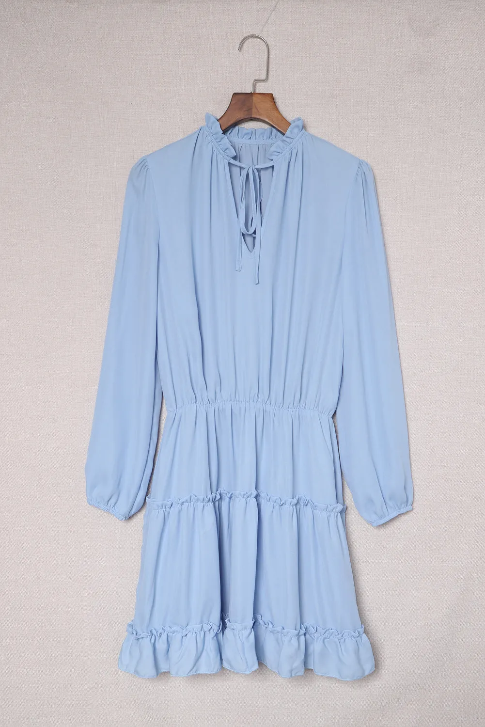 Solid Long Sleeve Mini Dress